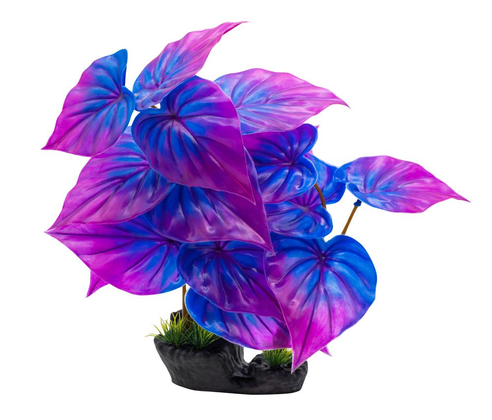 AquaSpectra Phylodendron Plant 40cm