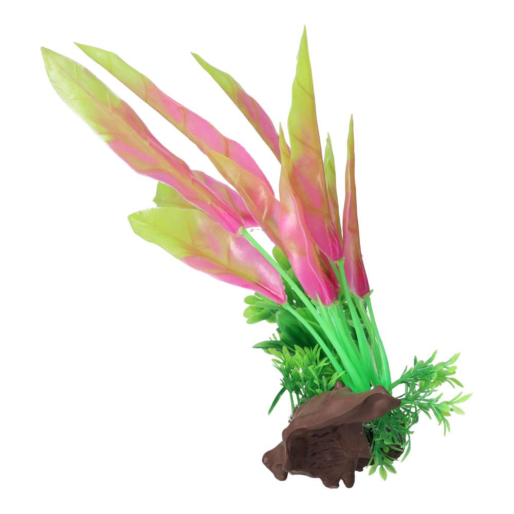 AquaSpectra Sword Leaf on Mulberry Orange 26cm