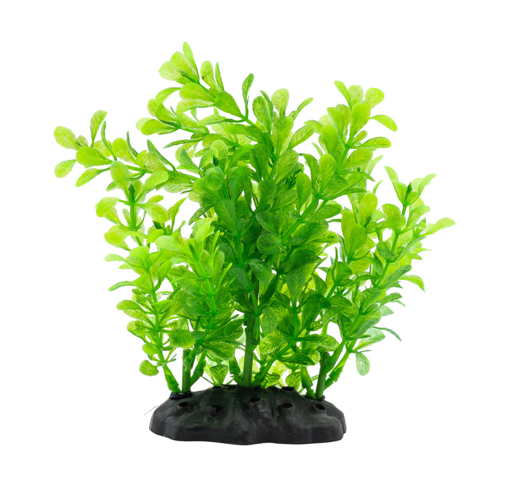 Artificial Rotala Bush Green 15cm | Aquarium Plant Décor