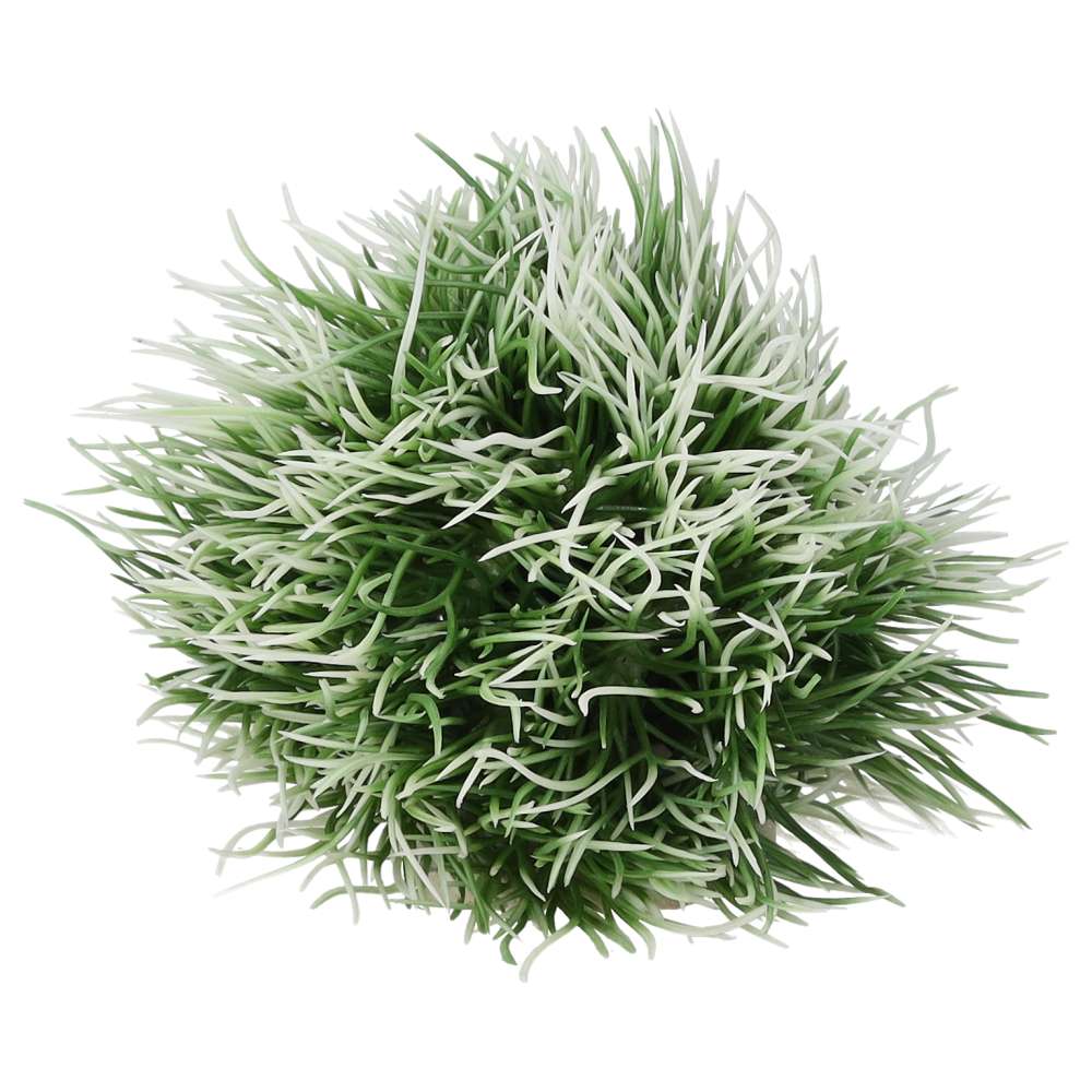 AquaSpectra Moss Ball