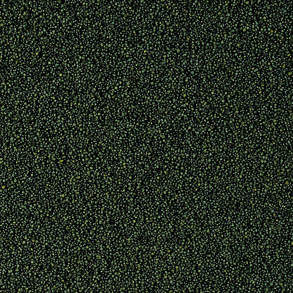 Tropical Super Spirulina Forte Mini Granulat