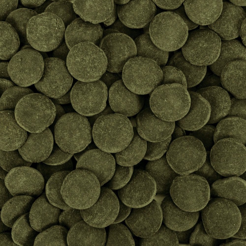 Tropical Hi-Algae Discs XXL 125g