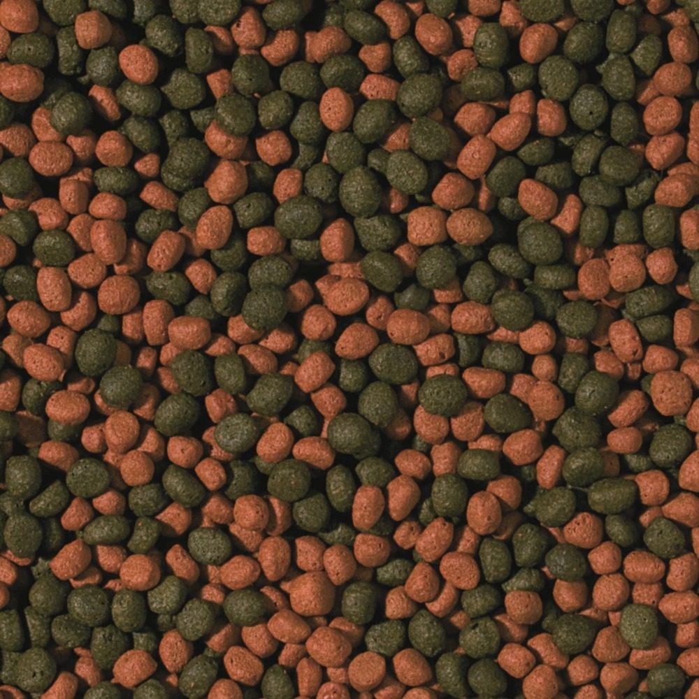 Tropical Cichlid Omnivore Medium Pellet
