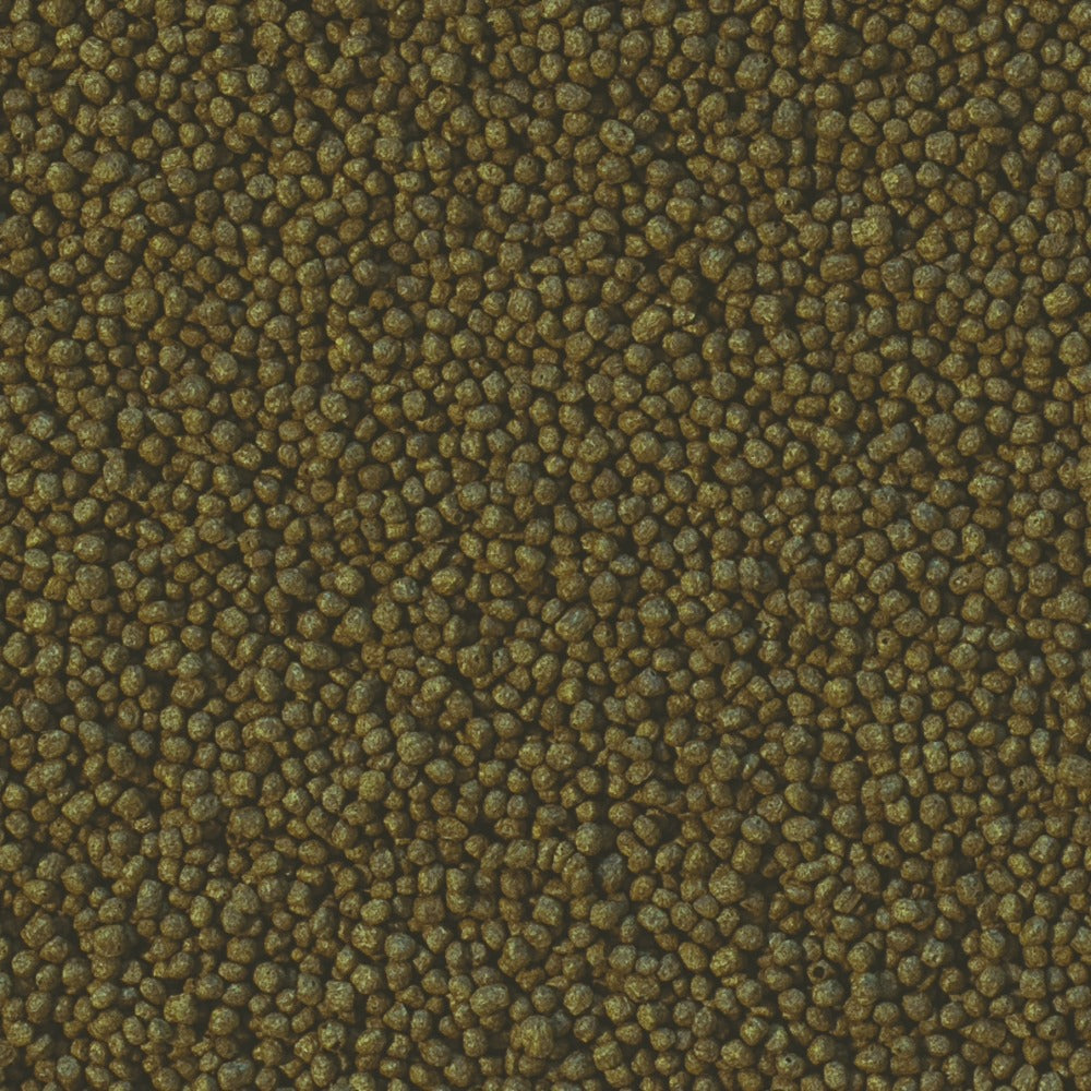 Tropical Cichlid Herbivore Small Pellet