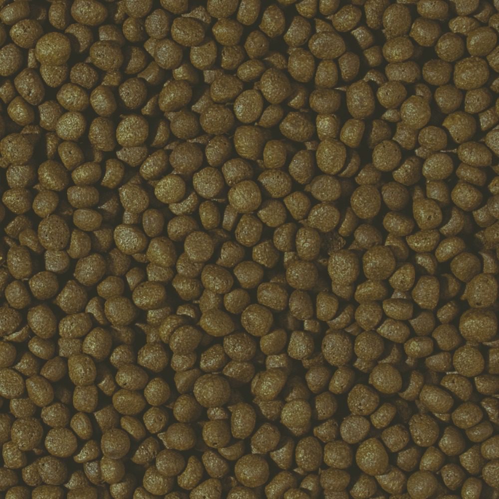 Tropical Cichlid Herbivore Medium Pellet