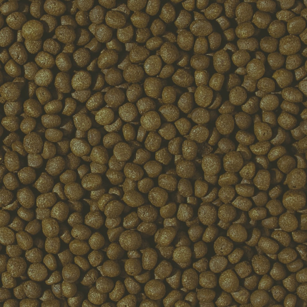Tropical Cichlid Herbivore Medium Pellet