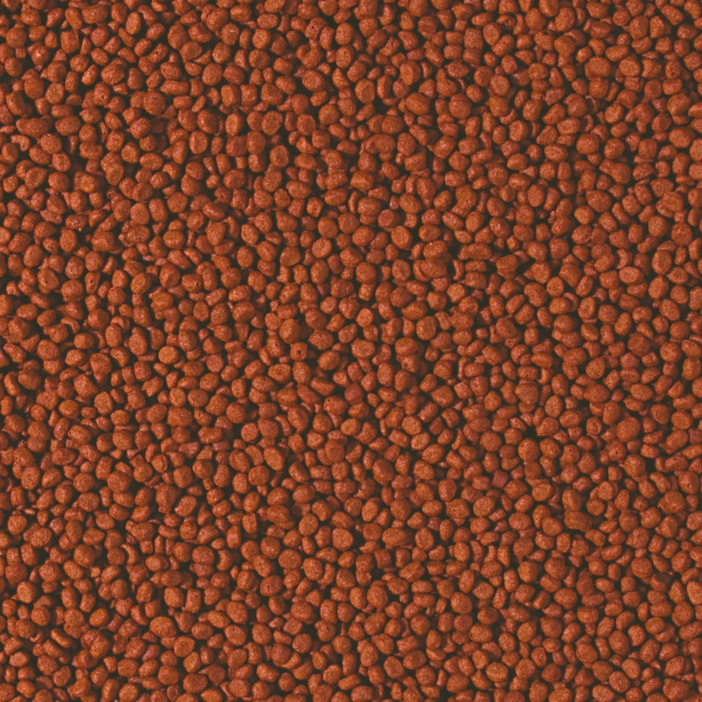 Tropical Cichlid Carnivore Small Pellet Food 90g