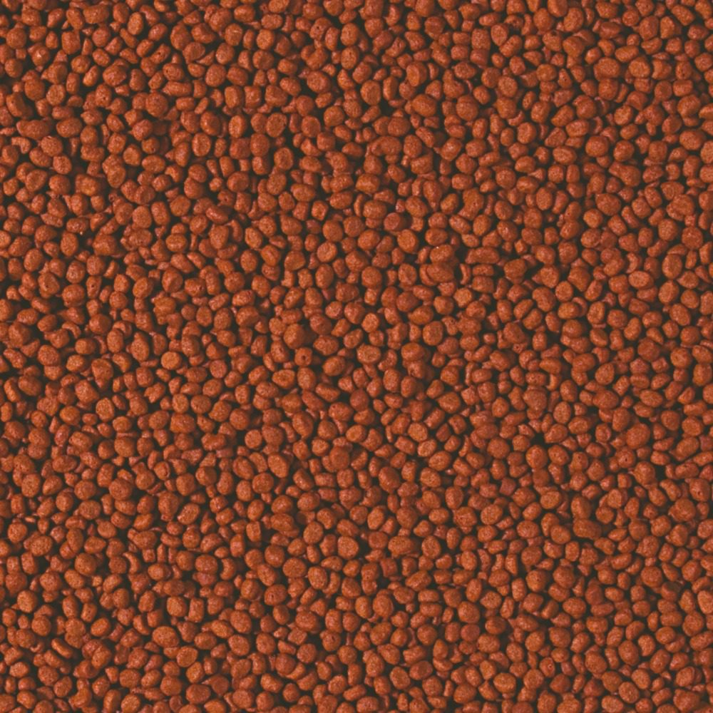 Tropical Cichlid Carnivore Small Pellet