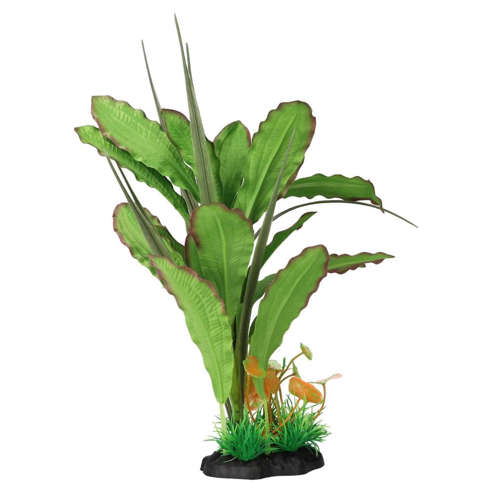 AquaSpectra Narrow Leaf Green