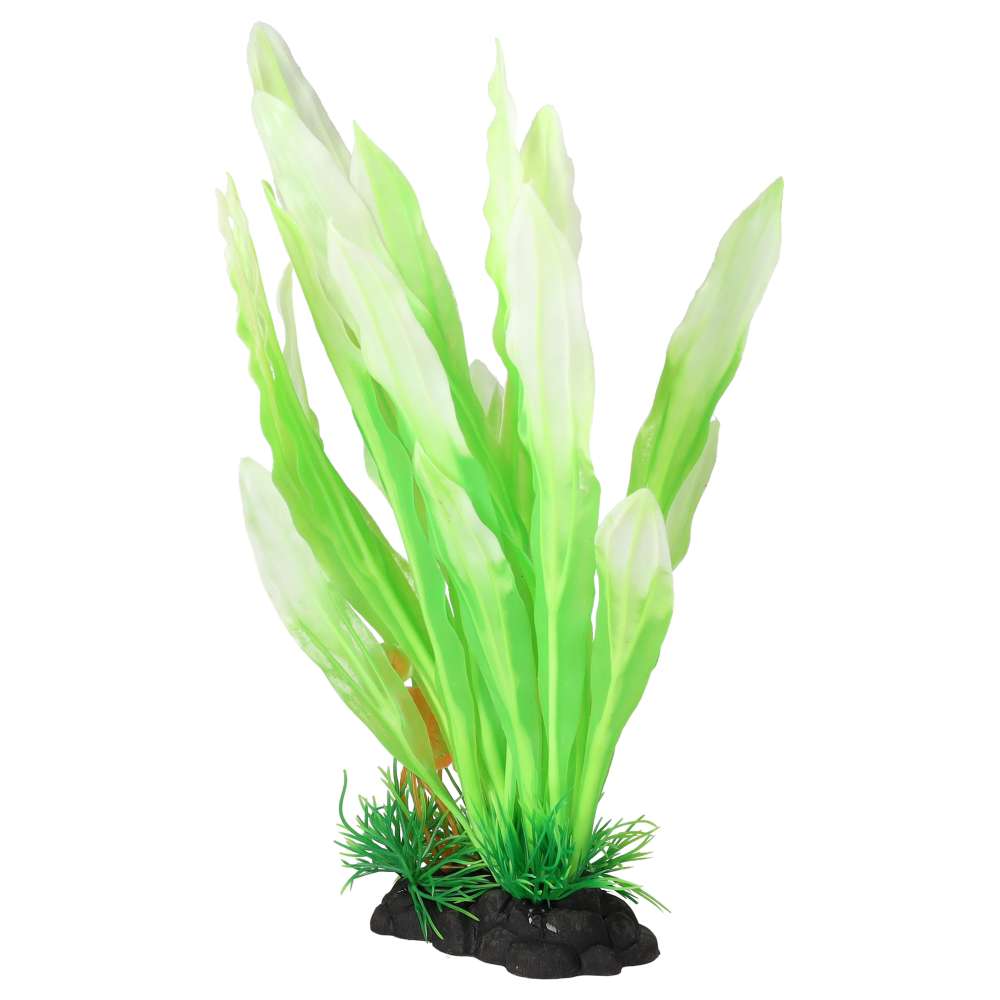 AquaSpectra Amazon Sword Leaf Lime Artificial Aquarium Plant