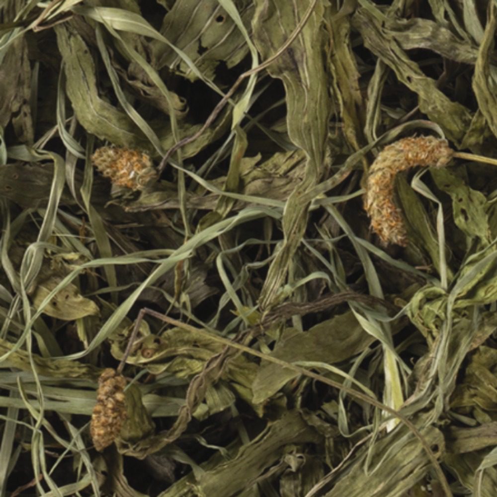 Tropifit Naturals Ribwort Plantain 100g