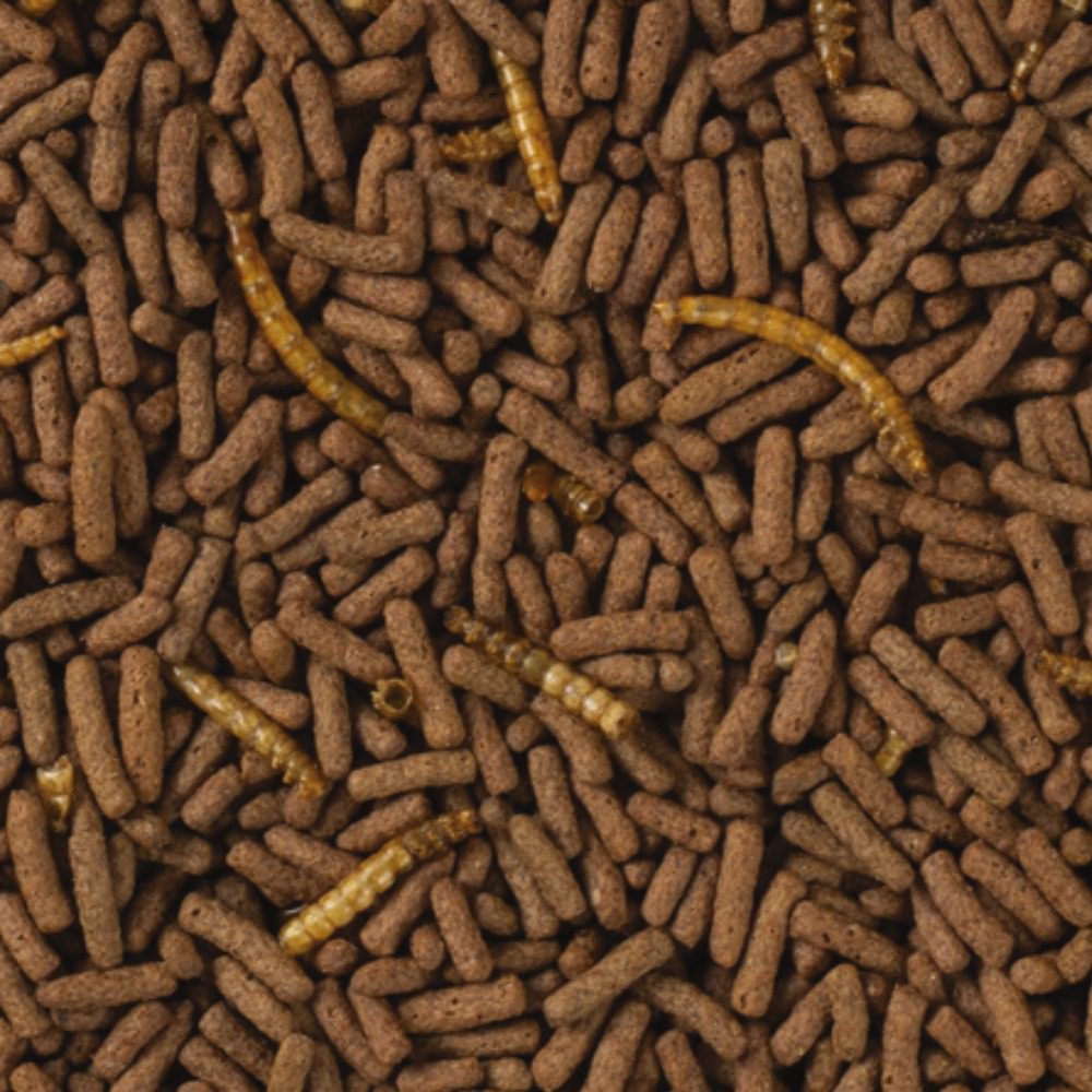 Tropifit Premium Atelerix Dwarf Hedgehog