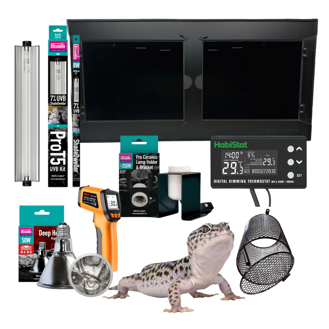 Leopard Gecko Kit complete reptile starter kit with PVC vivarium and equipment