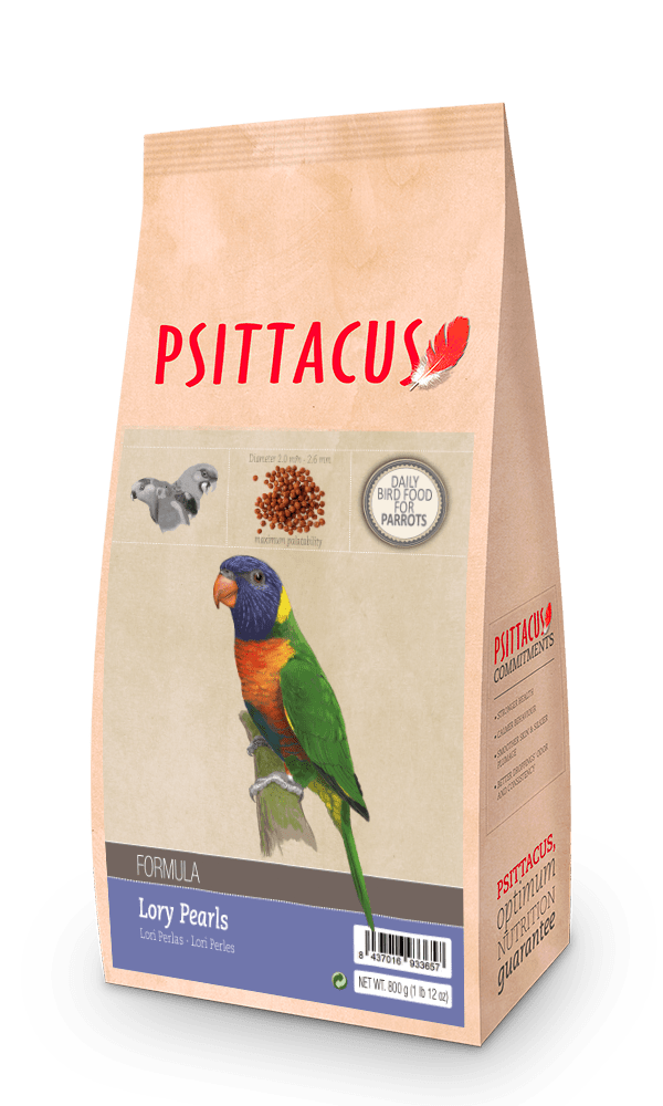 Psittacus Lory Pearls