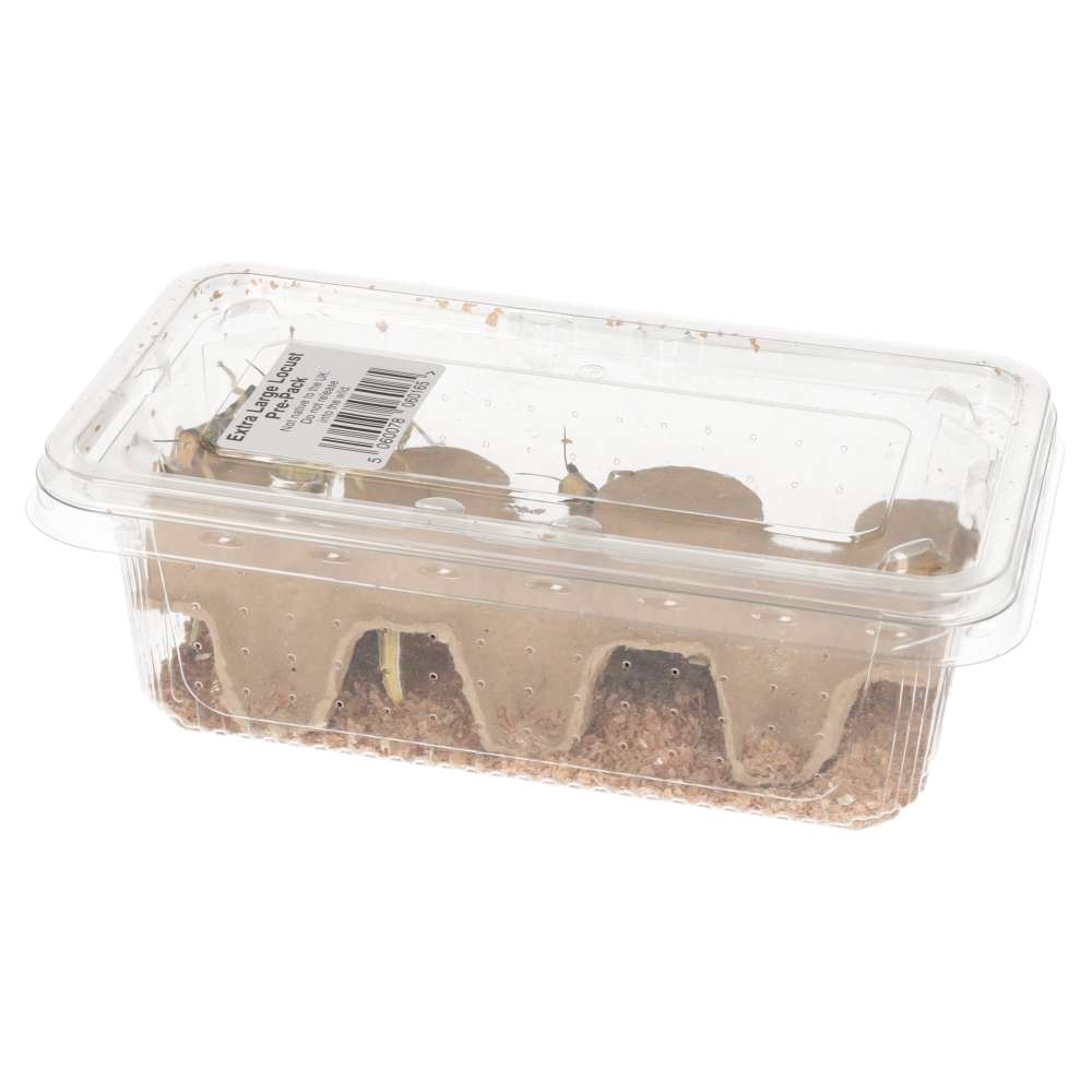 XL Locusts 35-50mm