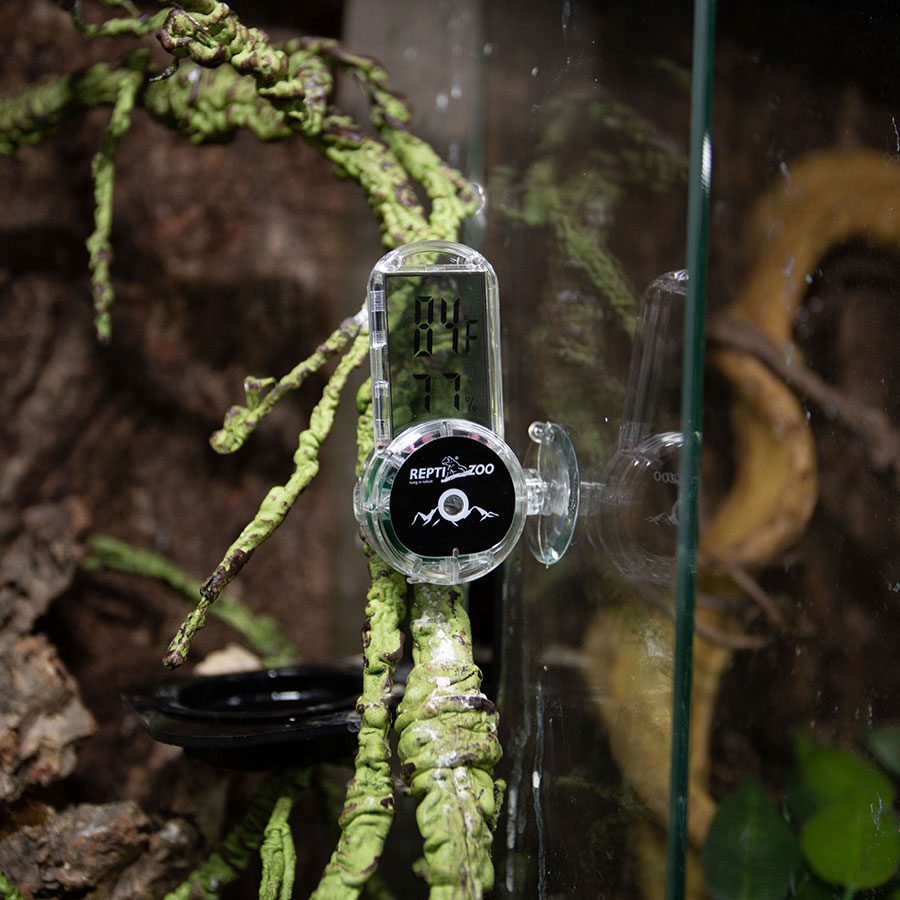 ReptiZoo Digital Thermo-Hygro Suction Cup
