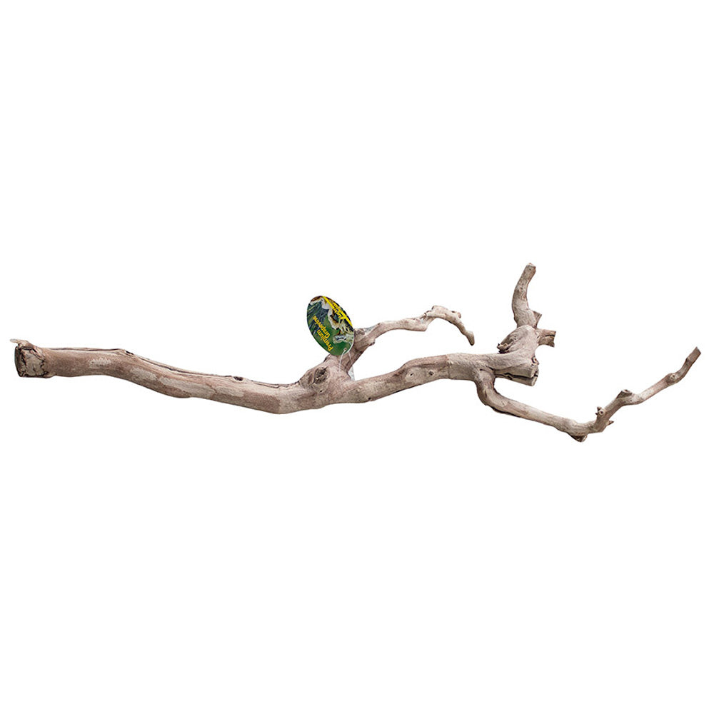 Lucky Reptile Premium Grapevine Large DLP-L – Natural Vivarium Branch