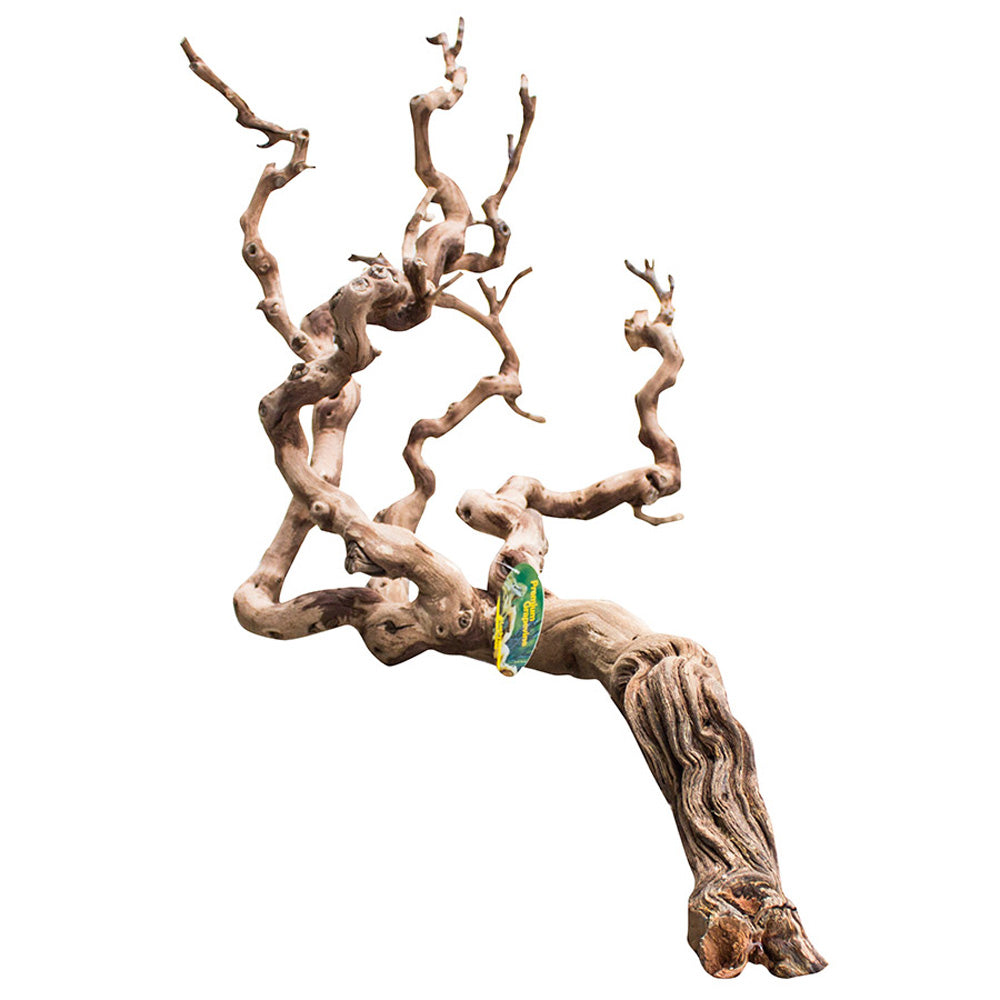 Lucky Reptile Premium Grapevine Show DLP-S | Natural Vivarium Branch