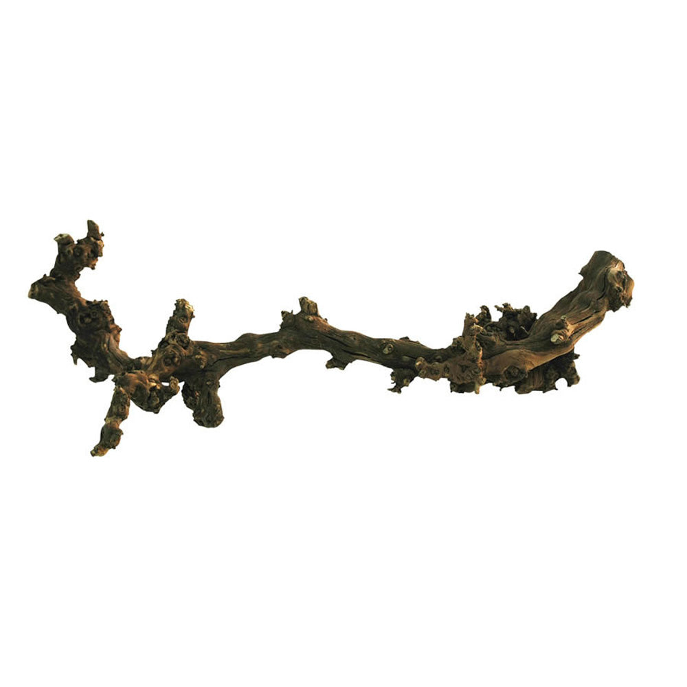 Lucky Reptile Dark Grapevine Small | Natural Vivarium Branch