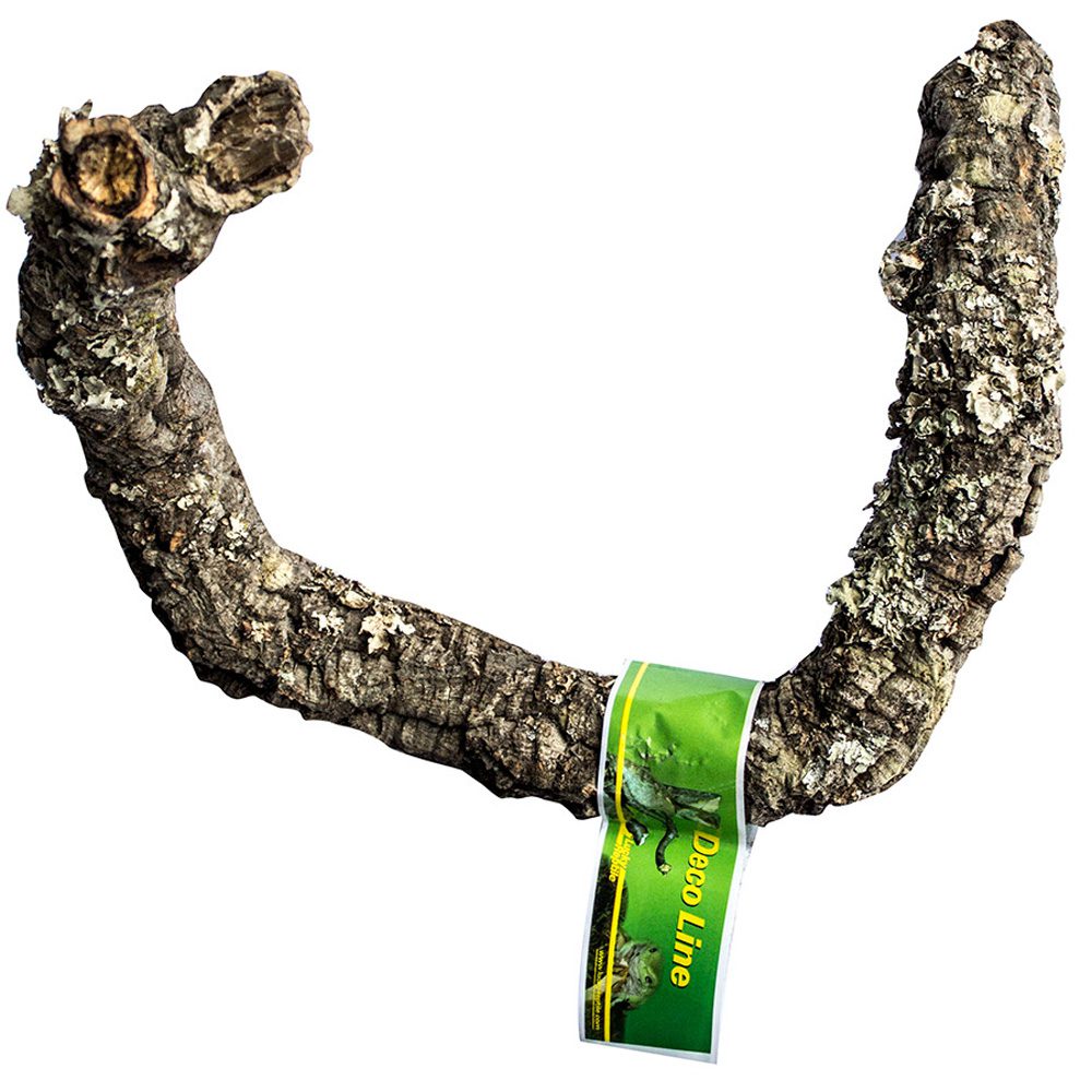 Lucky Reptile Tronchos Cork Branch