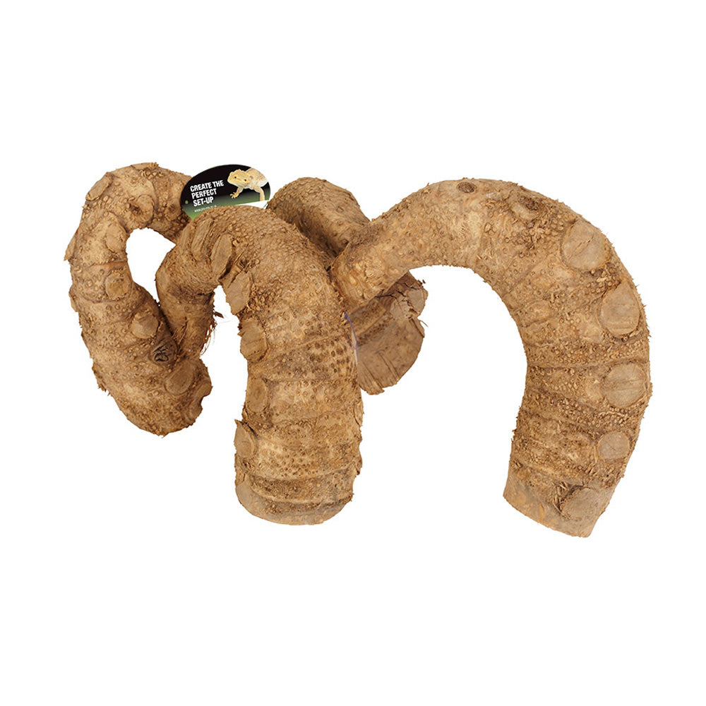 ProRep Bamboo Root Jungle Gym Premium | Natural Vivarium Decor