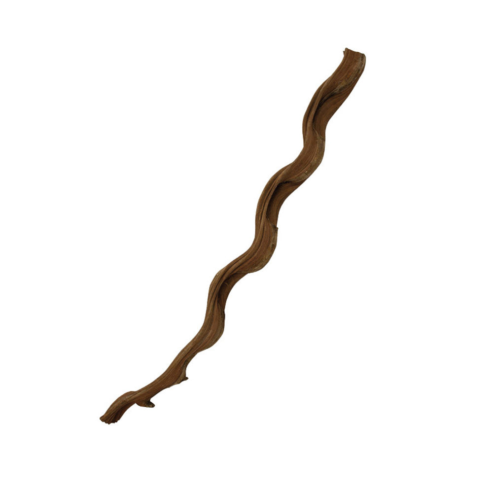 ProRep Natural Snake Vine 60cm | Reptile Vivarium Decor