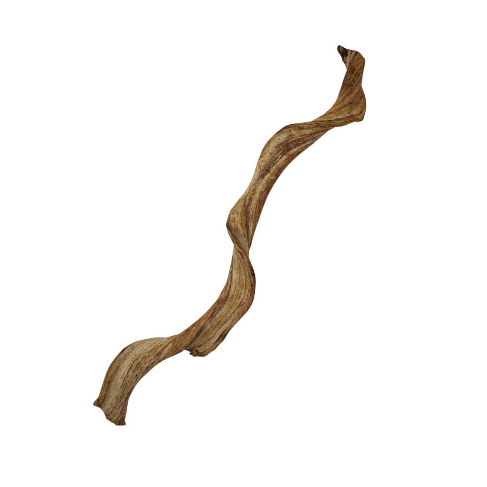 ProRep Natural Frankenstein Liana Vine 60cm | Vivarium Decor