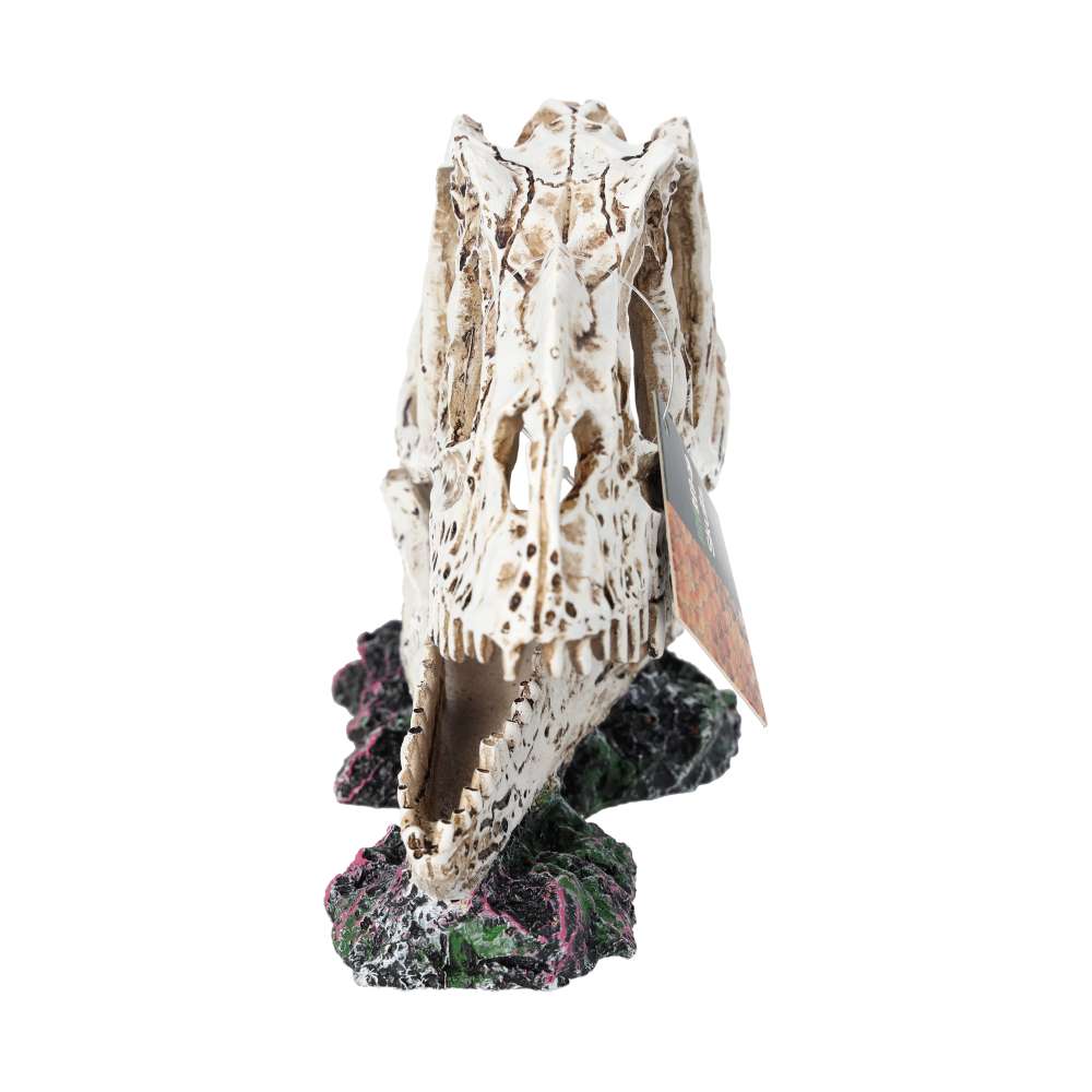 ProRep Resin Ceratosuarus Skull