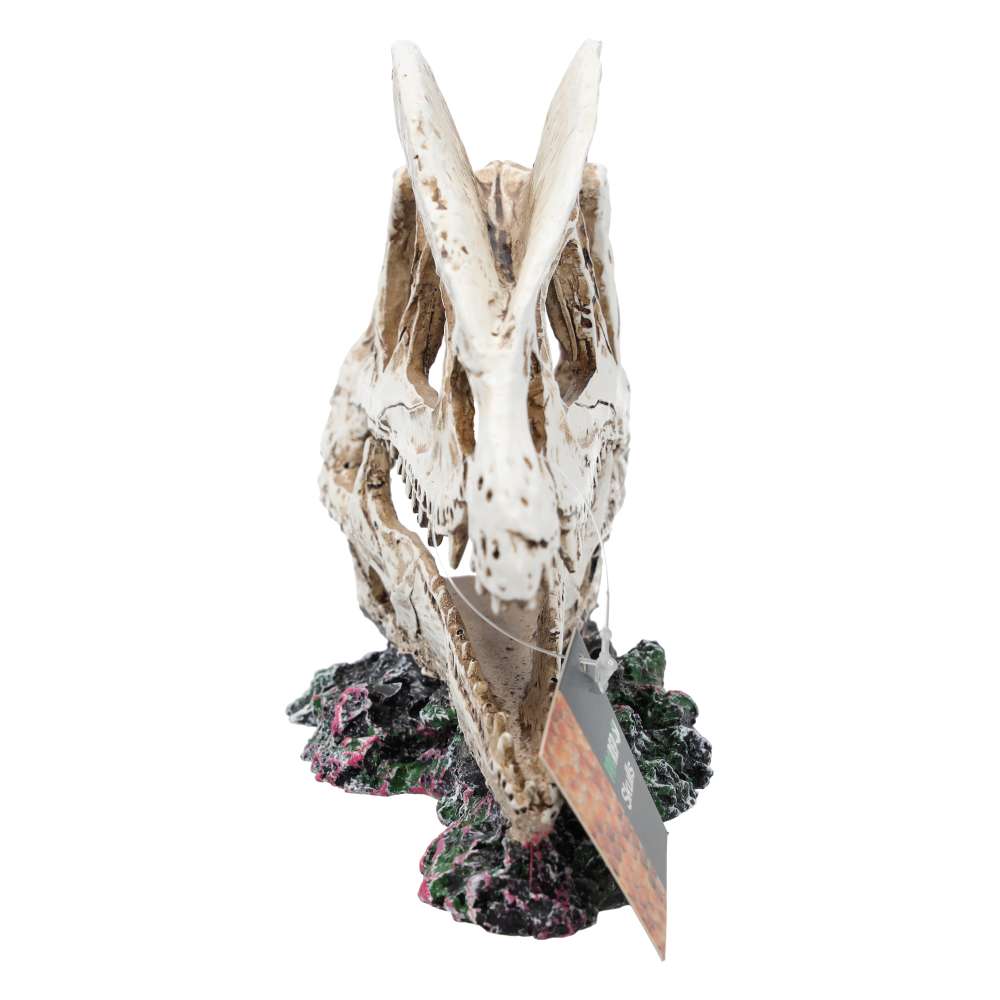 ProRep Resin Dilophosaurus Skull