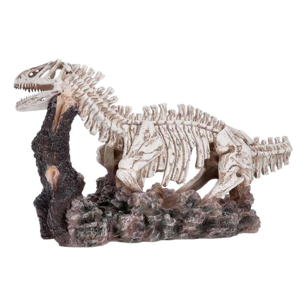 Pro Rep Allosaurus Skeleton