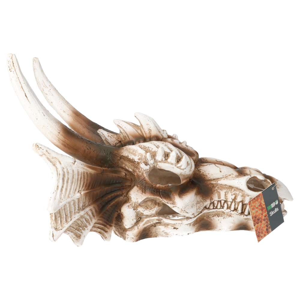 Large Dragon Skull Aquarium Ornament 28.5x21.5x19.5cm