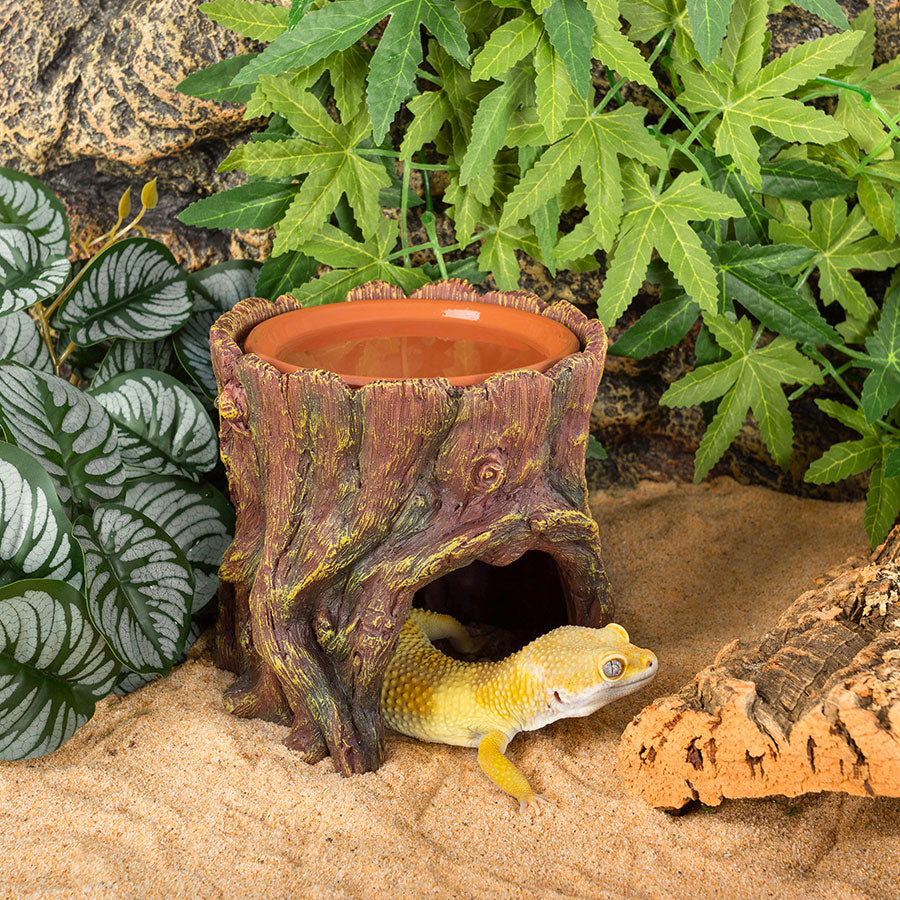 ReptiZoo Humid Tree Stump Hideout and Dish | Reptile Vivarium Hide