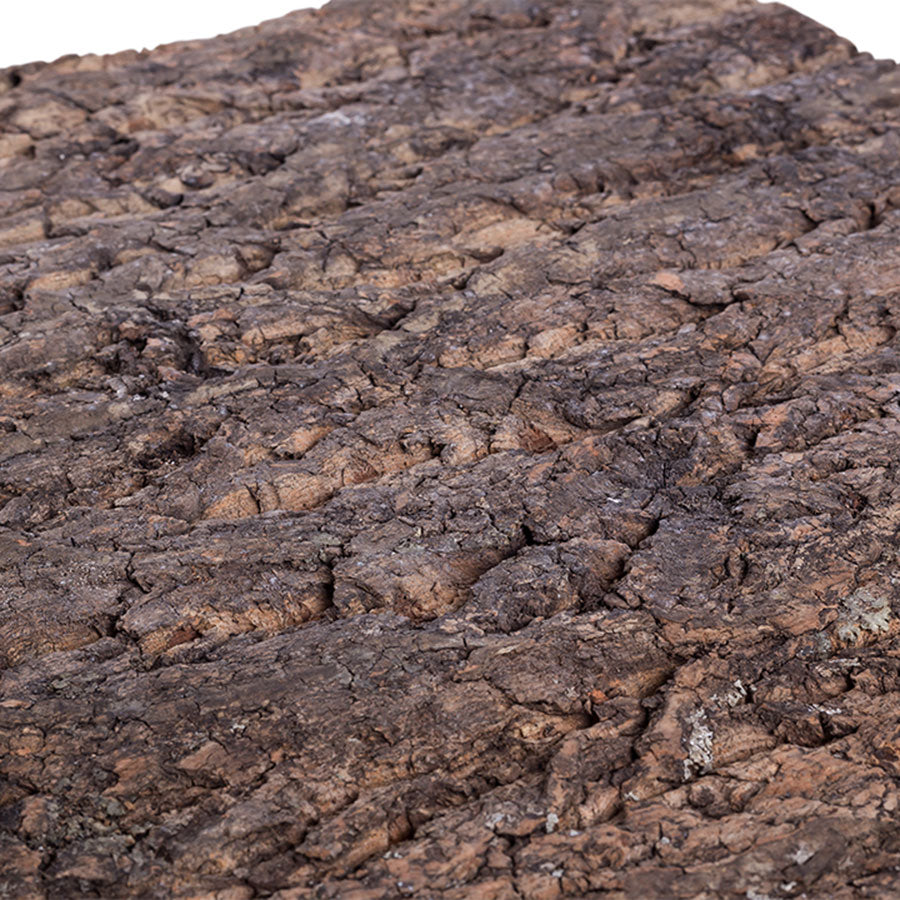 ReptiZoo Natural Cork Tile Background 45x45cm | Vivarium Decor