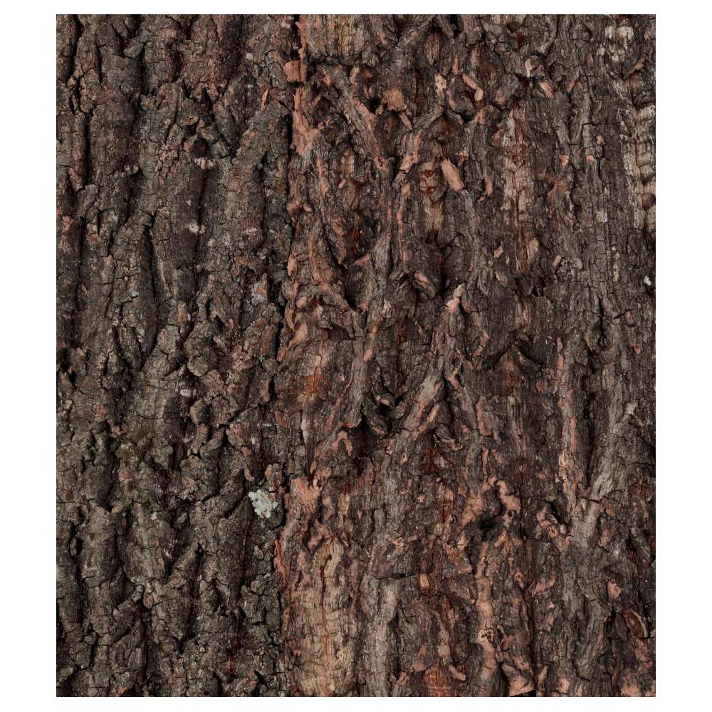 ReptiZoo Natural Cork Tile Background 60x60cm | NCT06