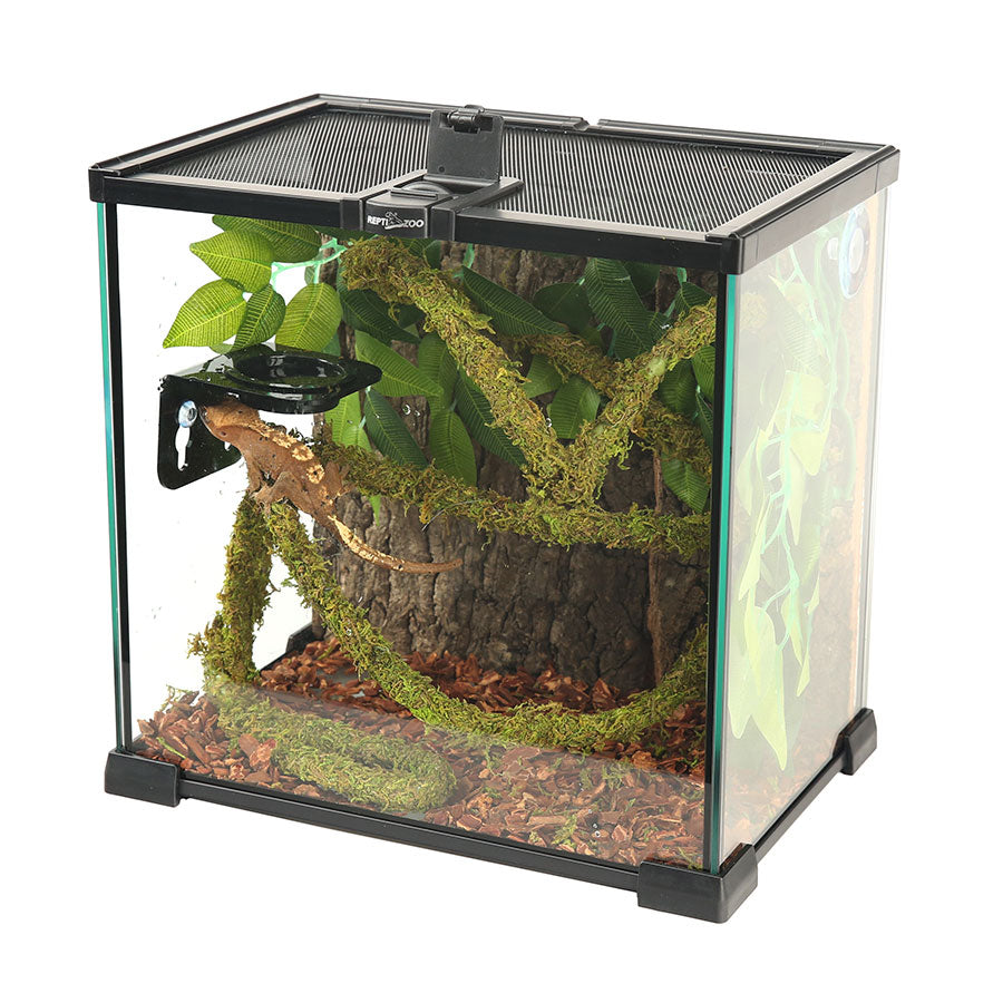 ReptiZoo Natural Moss Vine for Vivariums – 200cm x 2cm