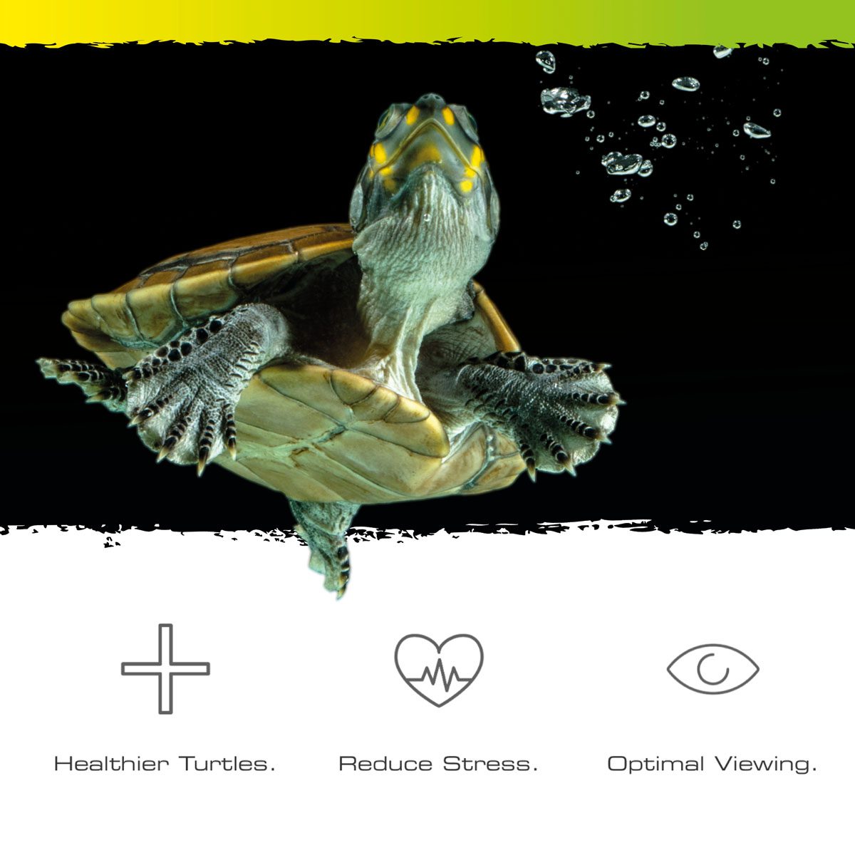 Exo Terra Turtle Haven Terrarium - 90x45x37cm
