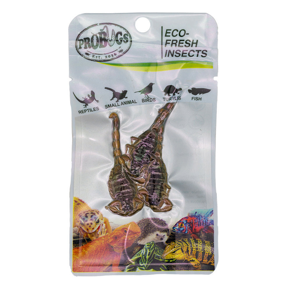 ProBugs Eco Fresh Scorpions 3pcs