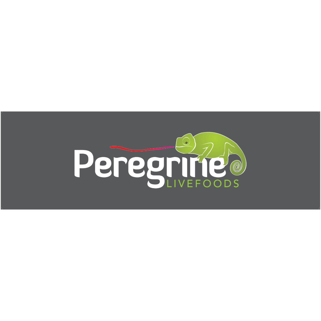 Header Board: Peregrine Brand 1000x300mm QLHPL001