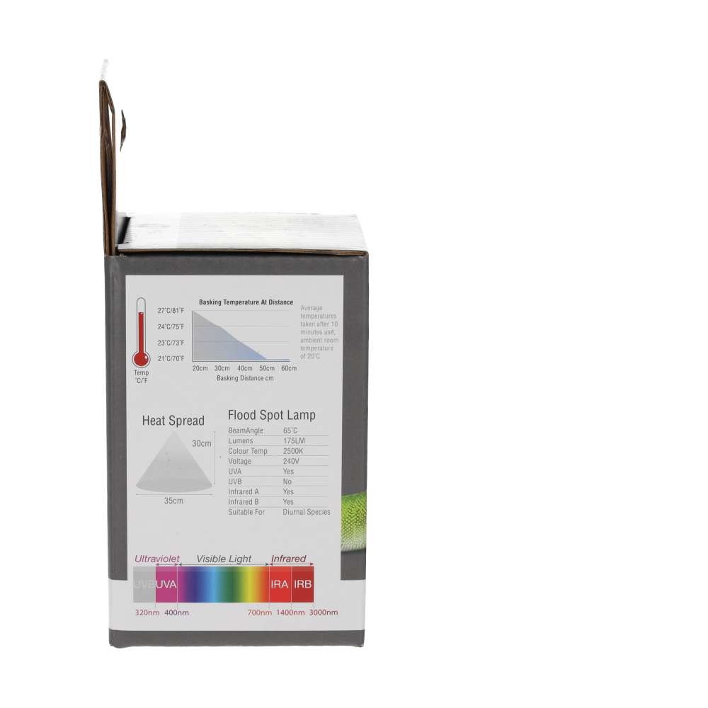 ProRep Flood Lamp