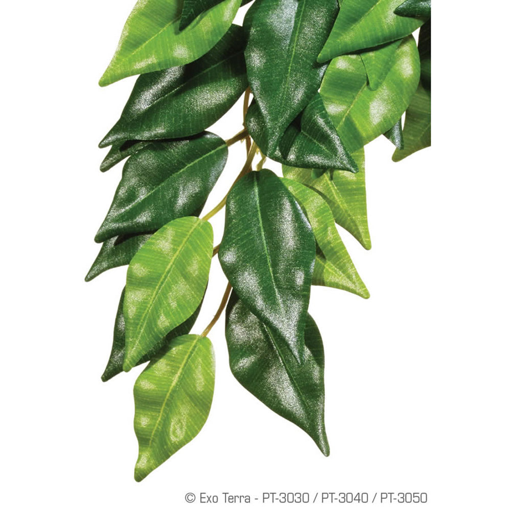 Exo Terra Silk Plant Ficus Large PT3050 | Vivarium Artificial Plant