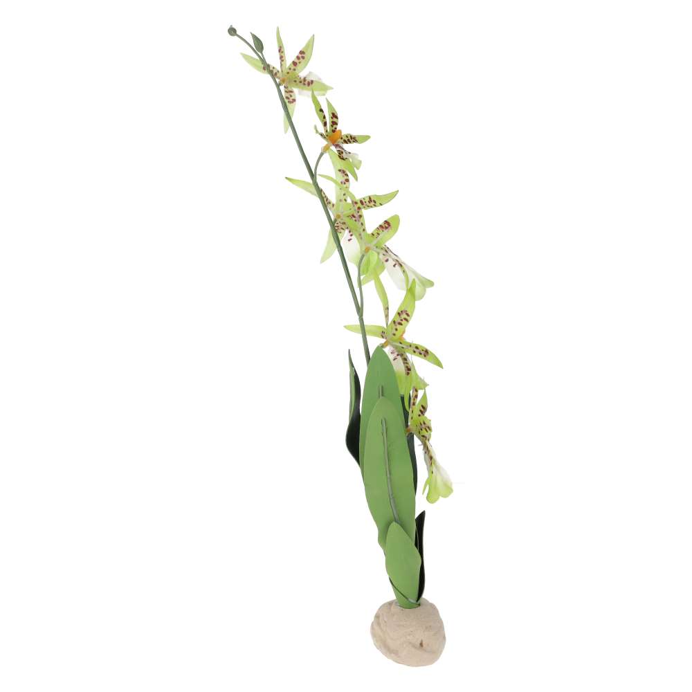 Exo Terra Spider Orchid Artificial Terrarium Plant – PT-2991