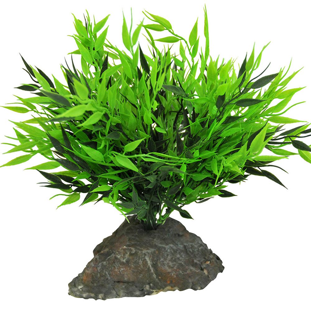 Lucky Reptile Bamboo Tuft