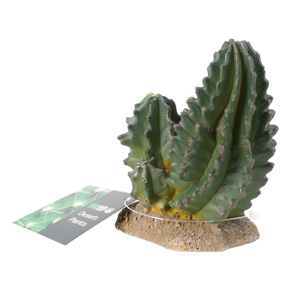 ProRep Resin Cactus Group