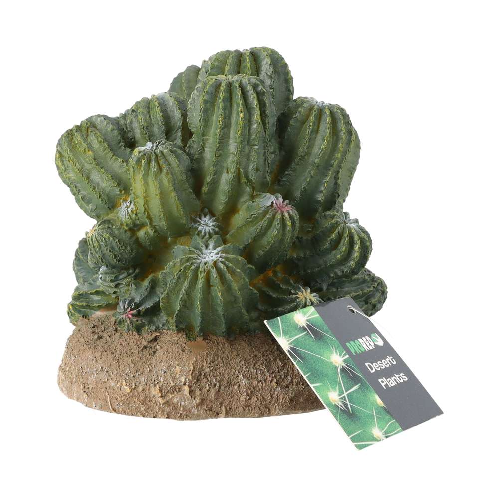 ProRep Resin Cactus Cluster