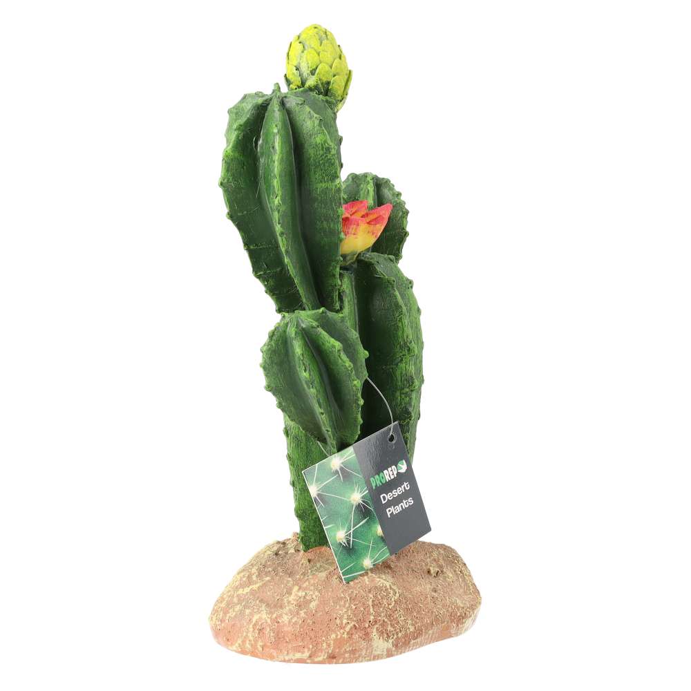 ProRep Resin Flowering Cactus