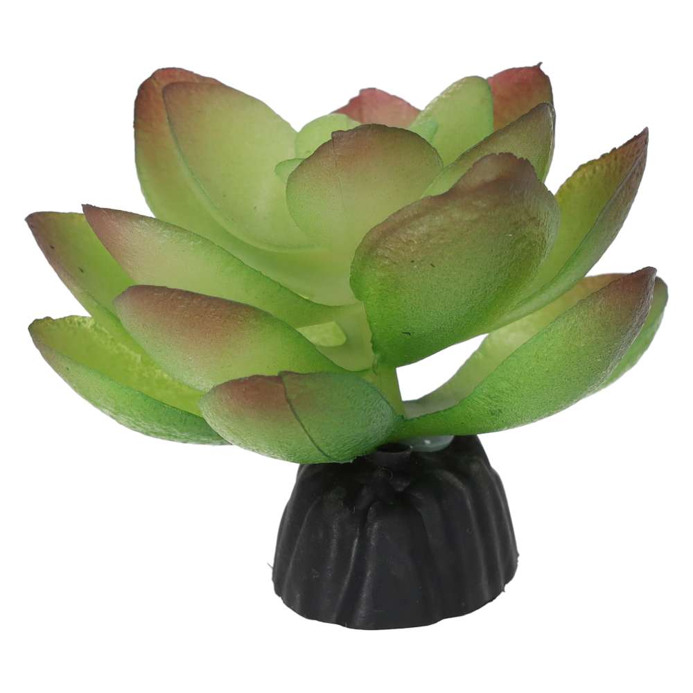 ProRep Artificial Echiveria Plant