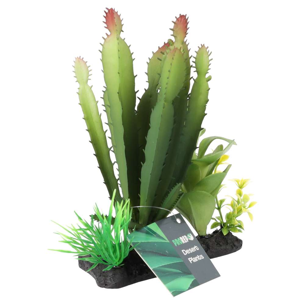ProRep Artificial Euphorbia Plant on Log