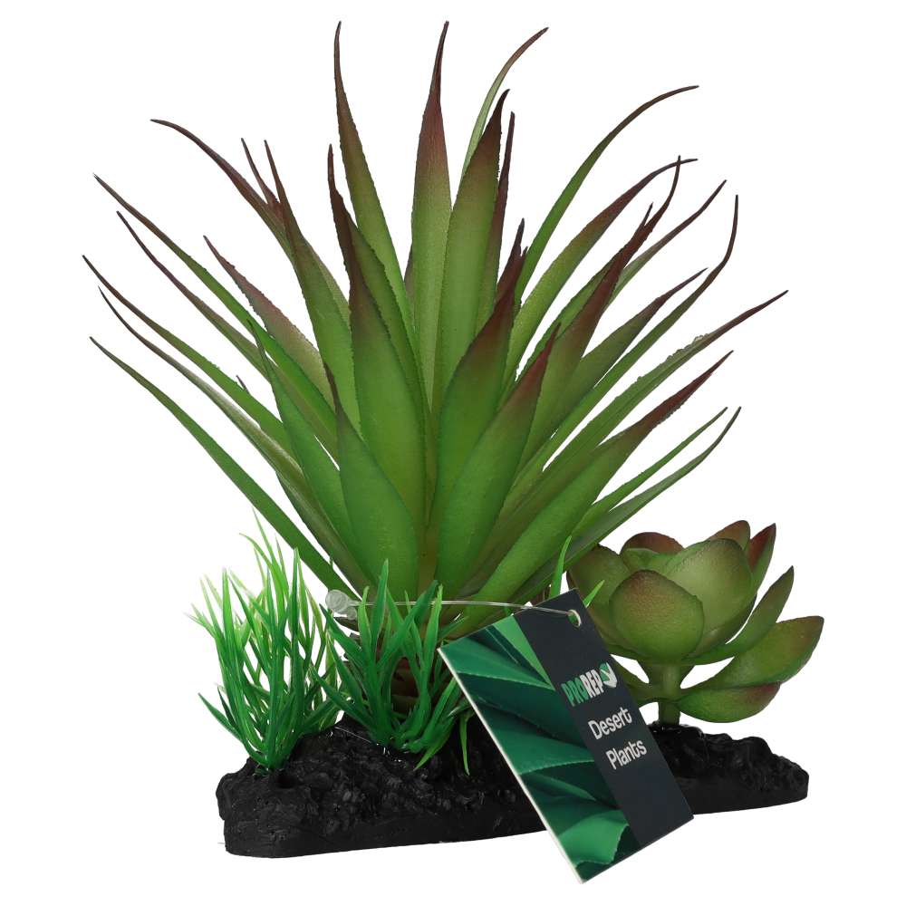 ProRep Articial Agave Plant on Log