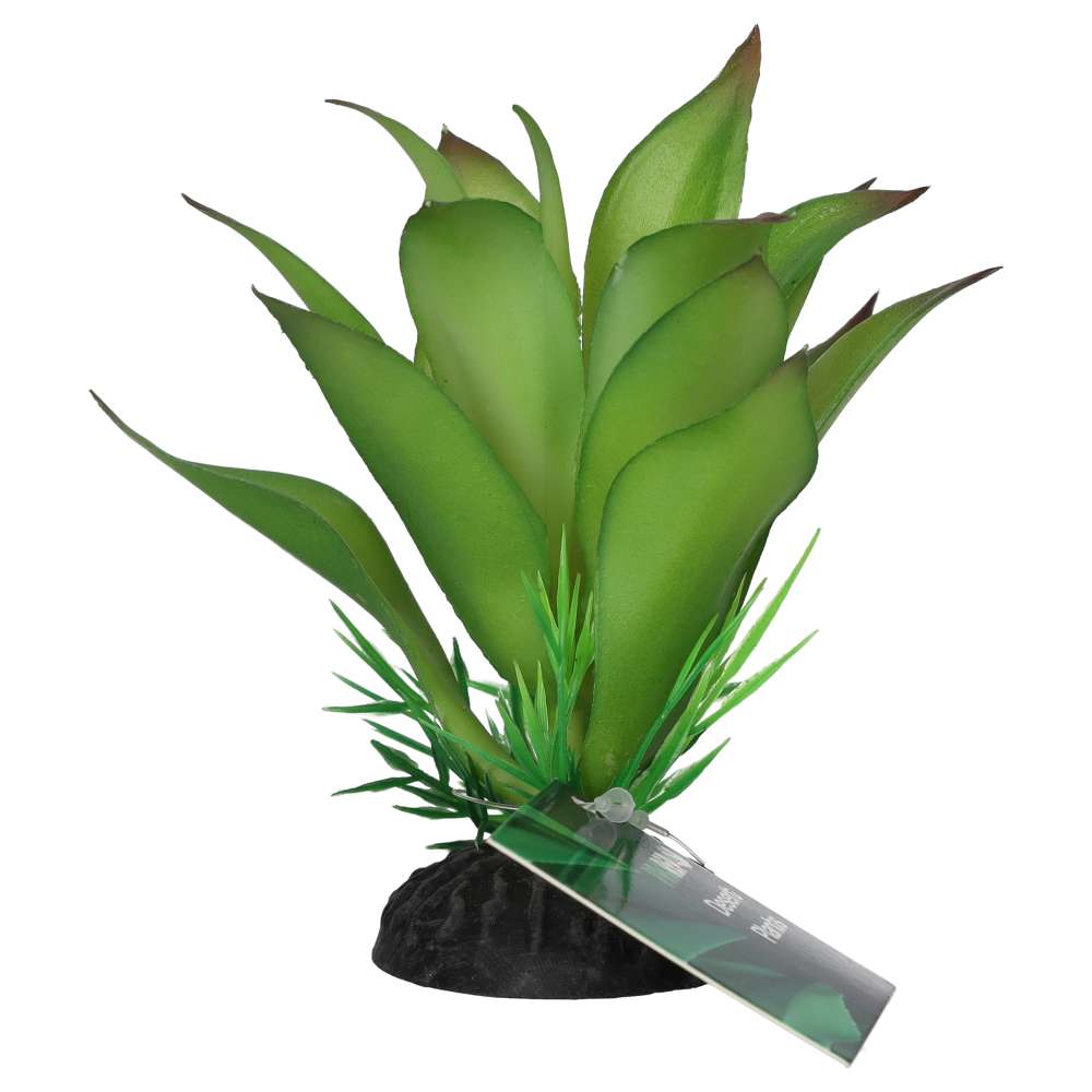 ProRep Sanseviria Plant