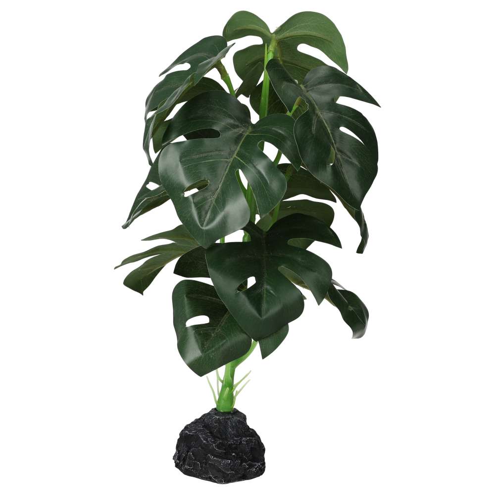 ProRep Terrestrial Monstera 27cm